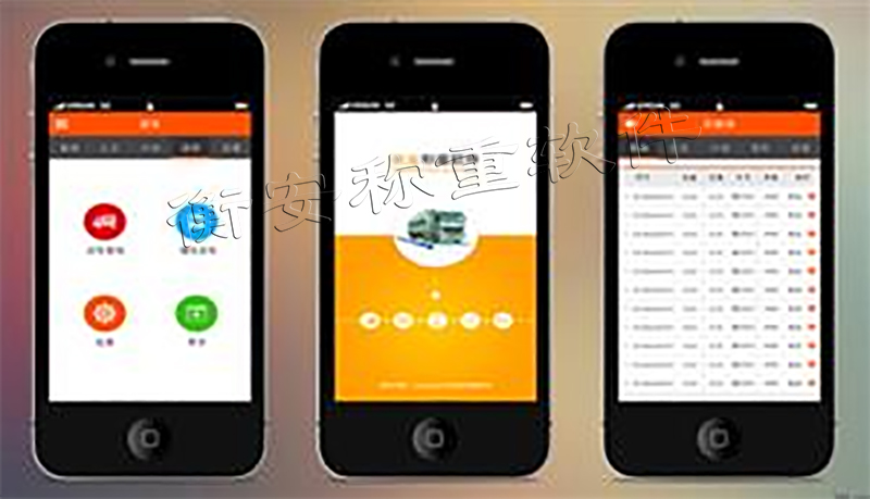 衡安無人值守稱重系統(tǒng)