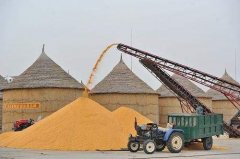 糧庫王總痛悔軟件裝的晚了