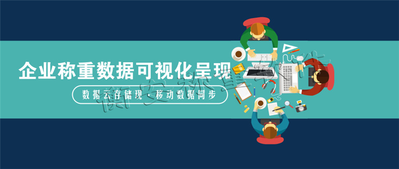 衡安地磅無人值守稱重軟件分類及標(biāo)準(zhǔn)