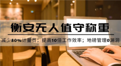 衡安稱重軟件接受功能軟件定制與客戶一起開發(fā)