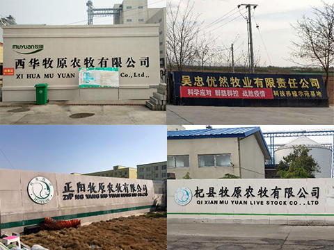 衡安無(wú)人值守稱重系統(tǒng)