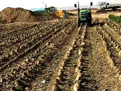 甜菜收購的老總一定要了解的衡安甜菜收購系統！