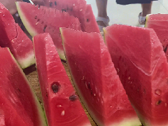 夏天的40度是什么概念？快來衡安軟件吃西瓜吧！